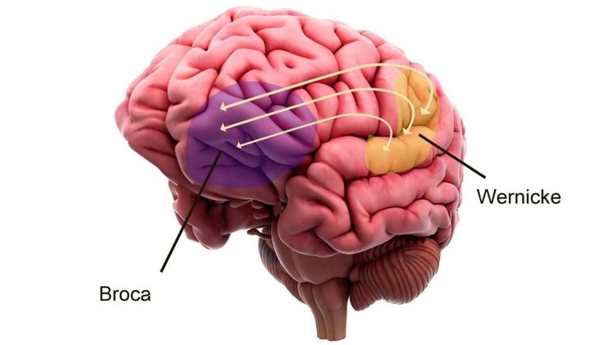 Rüyalarda Yazıları Okuyamamamızın Ardındaki Enteresan Sebep