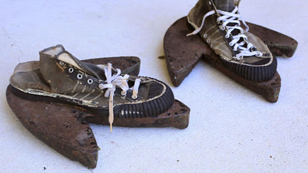 İnsanlar Bu Devasa Ayak İzinin Hangi Hayvana Ait Olduğunu Neden 40 Yıl Boyunca Çözemedi? (Aklınıza Bile Gelmez)