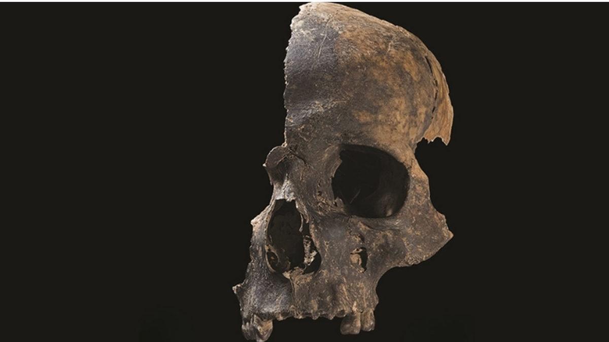 İnsanların 4000 Yıl Önce, Aç Olmamalarına Rağmen Birbirlerini Yemesinin Dehşet Verici Sebebi