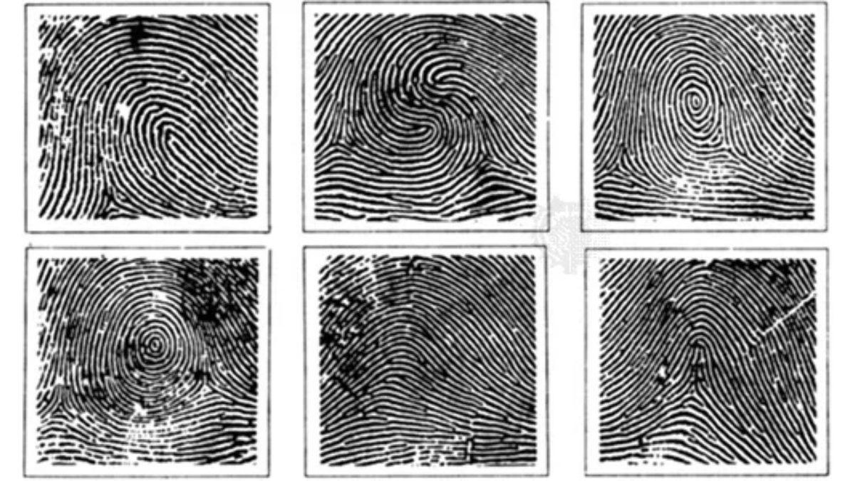 Aynı Elin Parmak İzleri Arasında Küçük Benzerlikler Varken İki Elin Parmak İzleri Arasında Neden Hiçbir Benzerlik Yok?