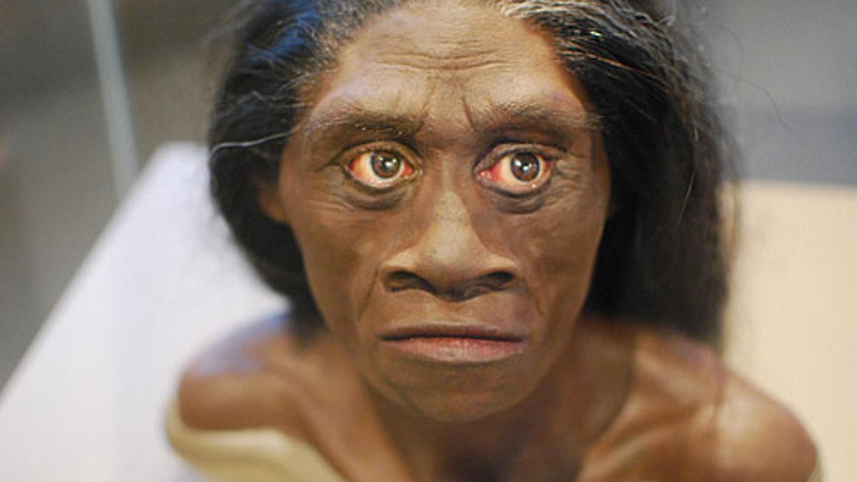 “İnsan Gerçekten Nereden Geldi?” Sorusunu Cevaplayan 10 İkonik Fosil