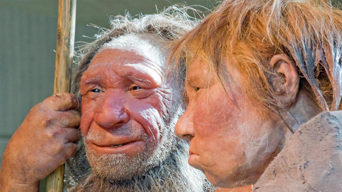 “İnsan Gerçekten Nereden Geldi?” Sorusunu Cevaplayan 10 İkonik Fosil