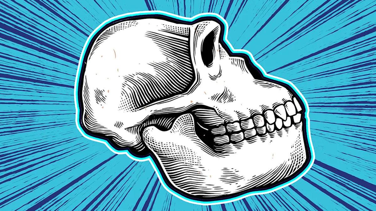 “İnsan Gerçekten Nereden Geldi?” Sorusunu Cevaplayan 10 İkonik Fosil