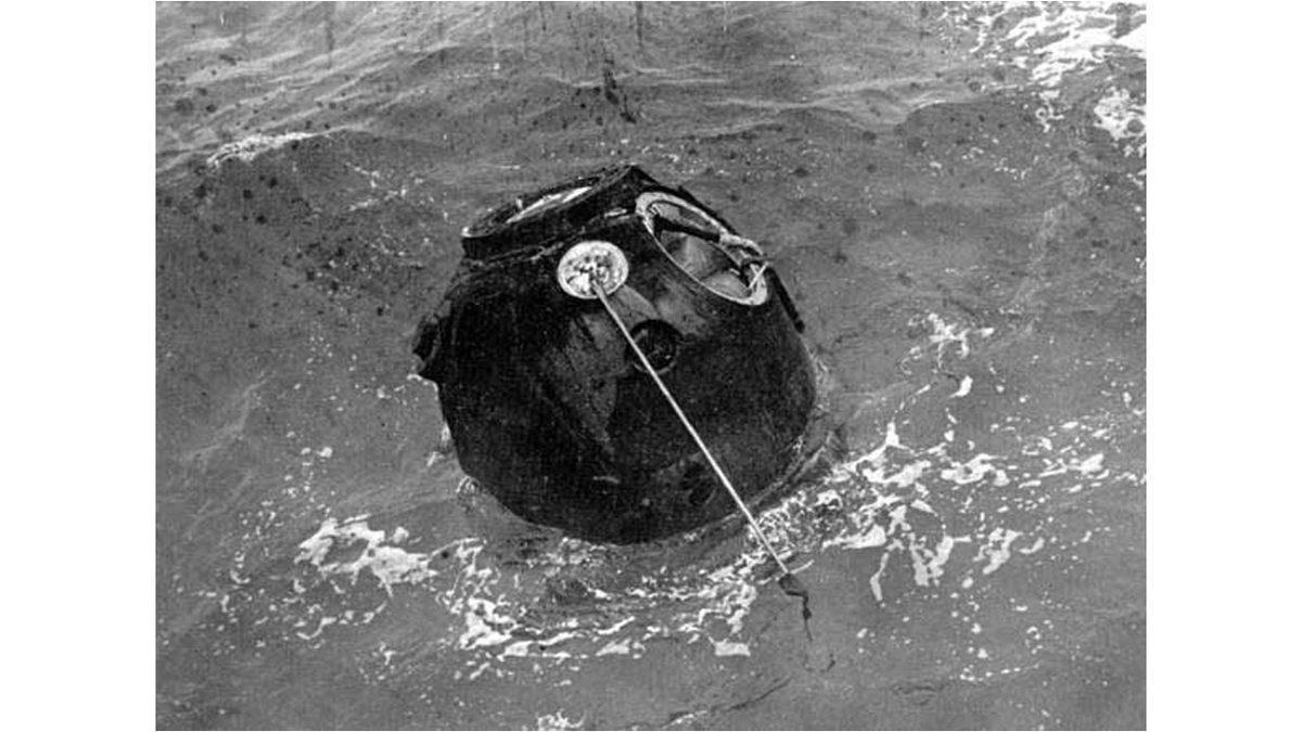 Uzaya Gönderilen Hayvanlar: Işık Tuttukları Bilgilere İnanamayacaksınız!