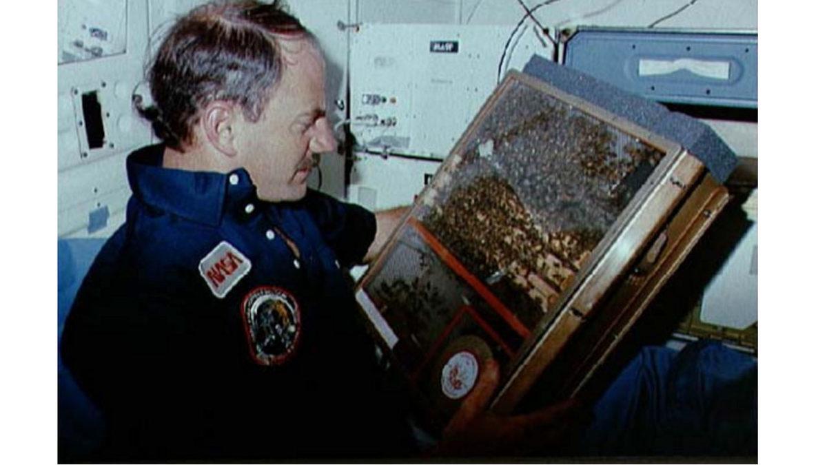 Uzaya Gönderilen Hayvanlar: Işık Tuttukları Bilgilere İnanamayacaksınız!