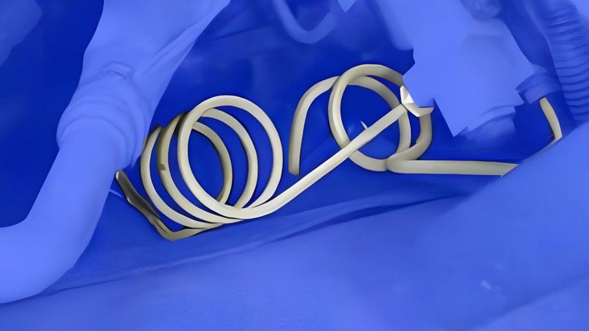 Fren Boruları Neden Bu Kadar Kıvrımlı ve Halkalı Bir Yapıya Sahip? Aksi Pek Mümkün Değil Gibi!