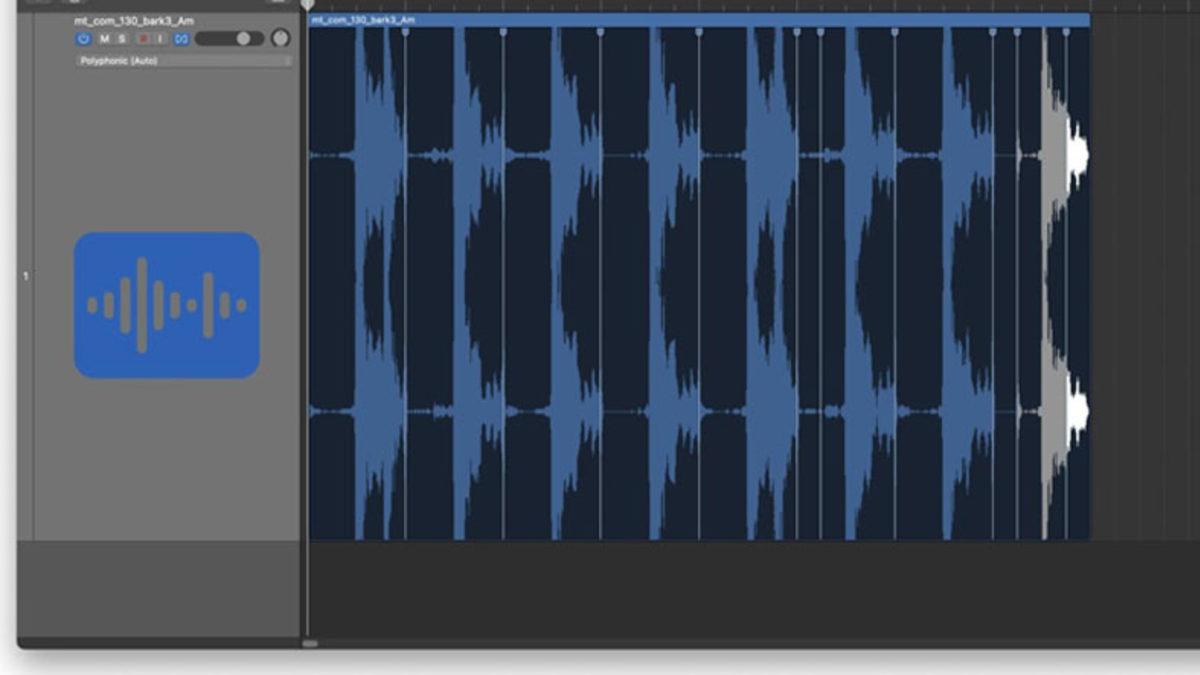 Oynatma Hızını Artırmamıza Rağmen Sesler Nasıl Sivrisinek Vızıltısı Gibi İncelmeden Aynı Kalabiliyor?