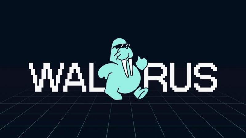 Walrus, Ana Ağda Yayında: Web3 İçin Programlanabilir Depolama Dönemi Başlıyor