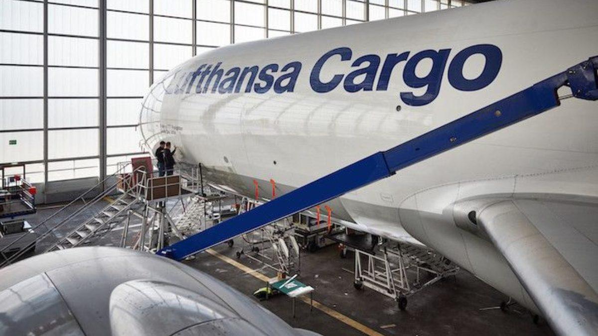 Alman Hava Yolu Lufthansa Kargo Uçaklarını Neden Köpek Balığı Derisiyle Kaplıyor?