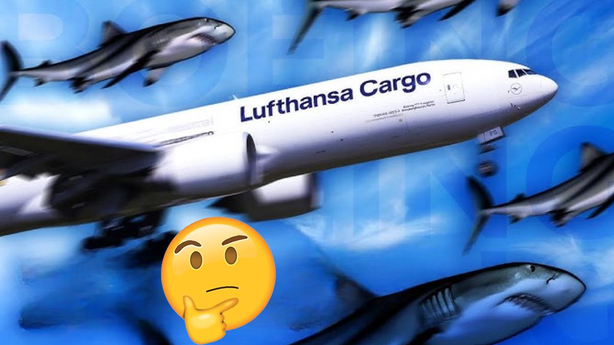 Alman Hava Yolu Lufthansa Kargo Uçaklarını Neden Köpek Balığı Derisiyle Kaplıyor?