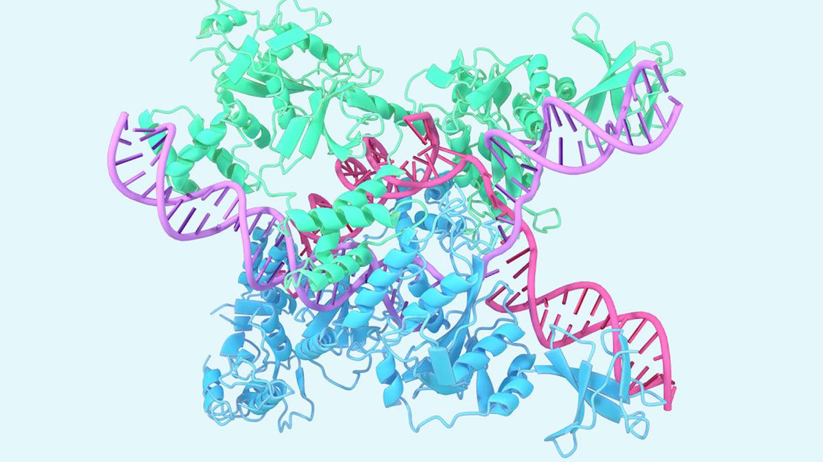 Bilim İnsanlarının Yıllarca Kafa Yormasına Rağmen Yapay Zekâ Sayesinde Ortaya Çıkarılan Buluşlar (Nobel de Verelim mi?)