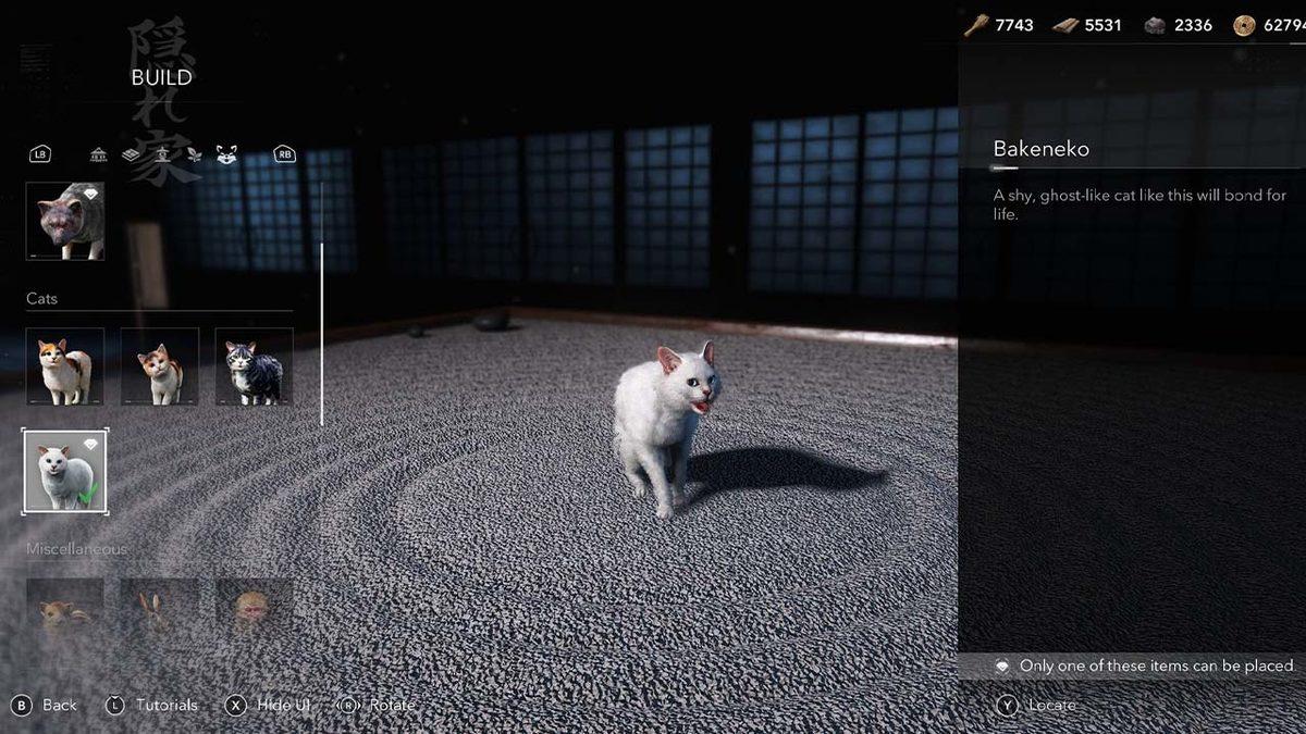 Assassin’s Creed Shadows’un Hayalet Kedisinin, Aslında Gerçek Bir Kedi Olduğu Ortaya Çıktı