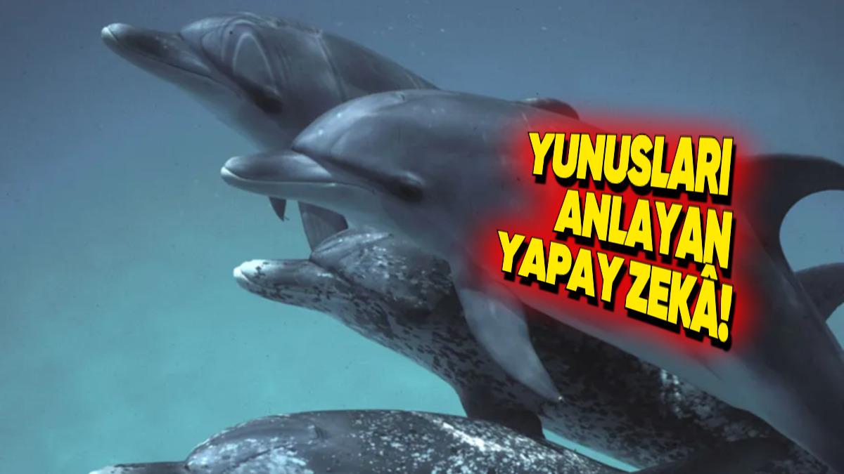 Google, Yunuslarla Konuşan Yapay Zekâ Modelini Duyurdu
