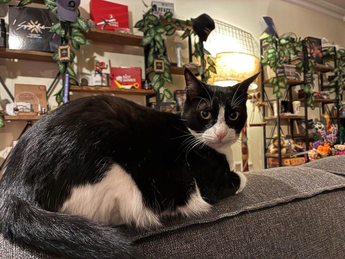 Editörün Yorumu: iPhone 16e ile Geçen Bir Ayın Ardından Sevdiklerim ve Nefret Ettiklerim