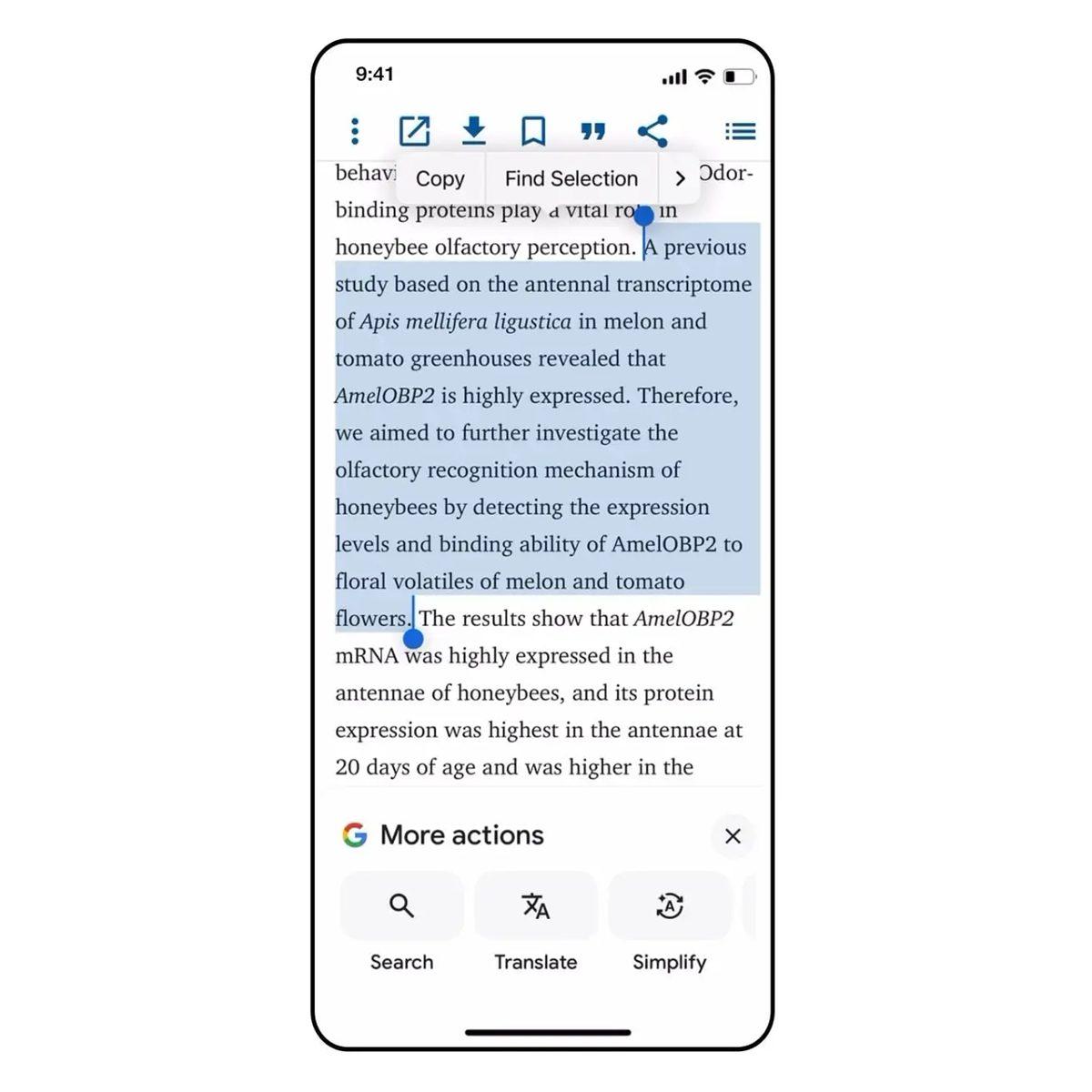 Google Uygulamasına 