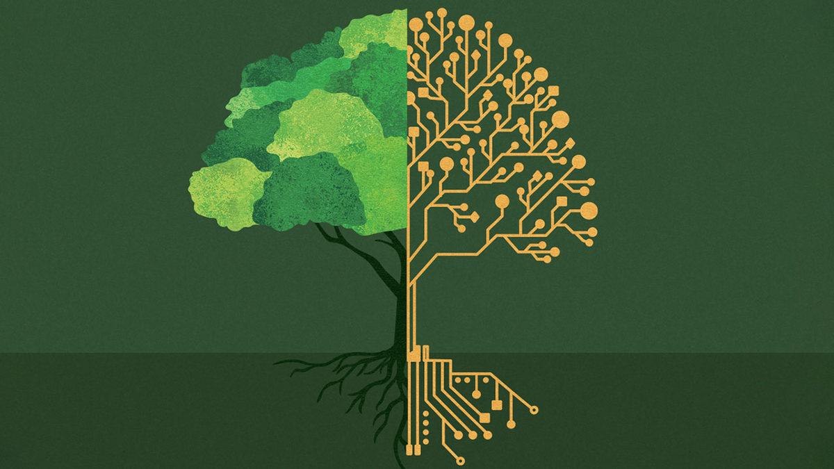 Yapay Zekânın Görünmeyen Bedeli: Bir Cevap, Bir Saatlik Enerji Tüketimine Denk!