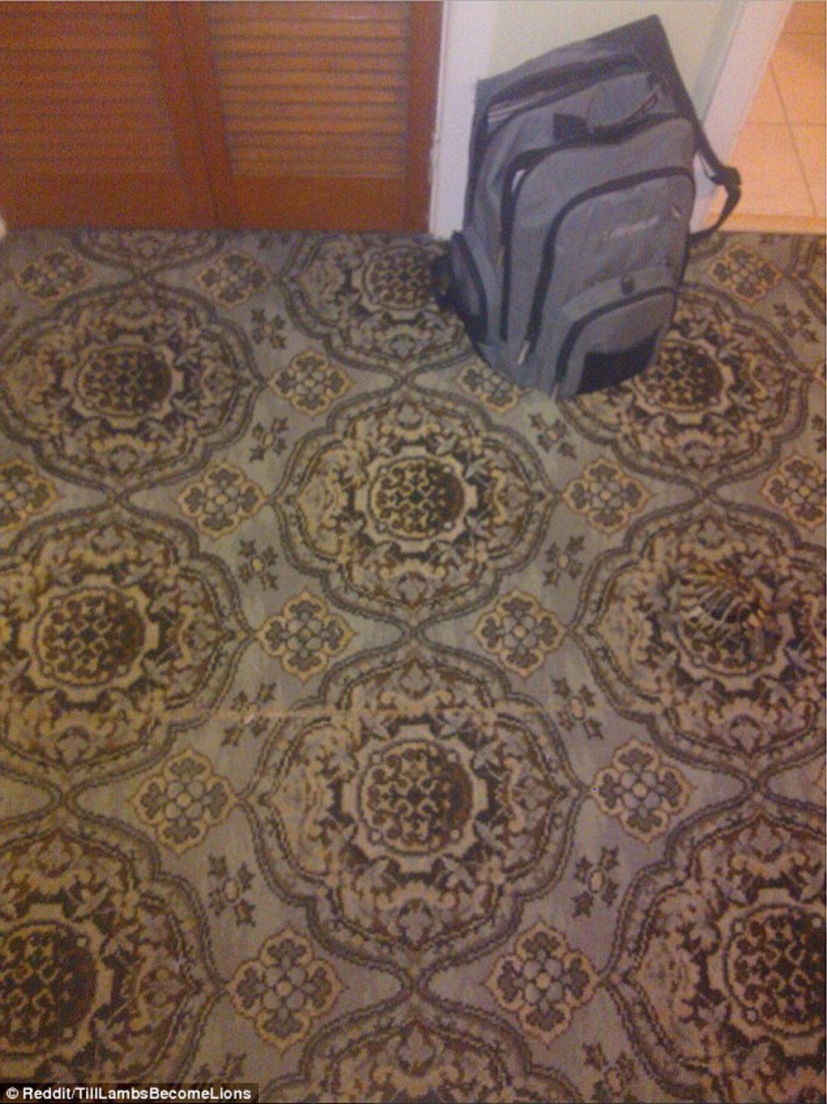 Görsel Zekanız,Gizli Resimleri Bulacak Kadar İyi Mi?