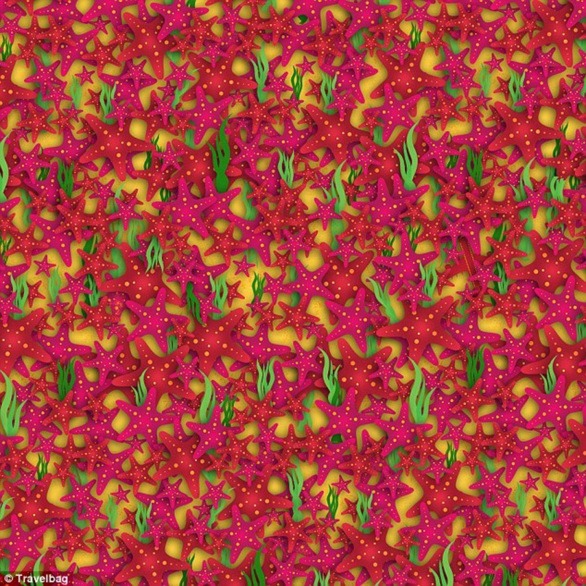 Görsel Zekanız,Gizli Resimleri Bulacak Kadar İyi Mi?