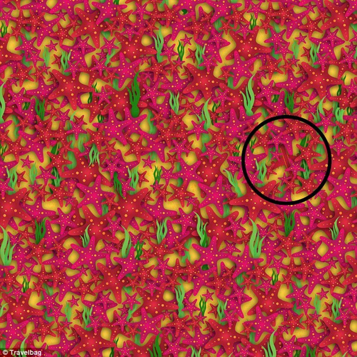 Görsel Zekanız,Gizli Resimleri Bulacak Kadar İyi Mi?