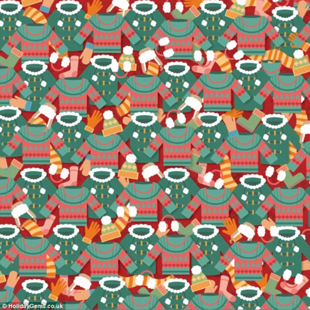 Görsel Zekanız,Gizli Resimleri Bulacak Kadar İyi Mi?