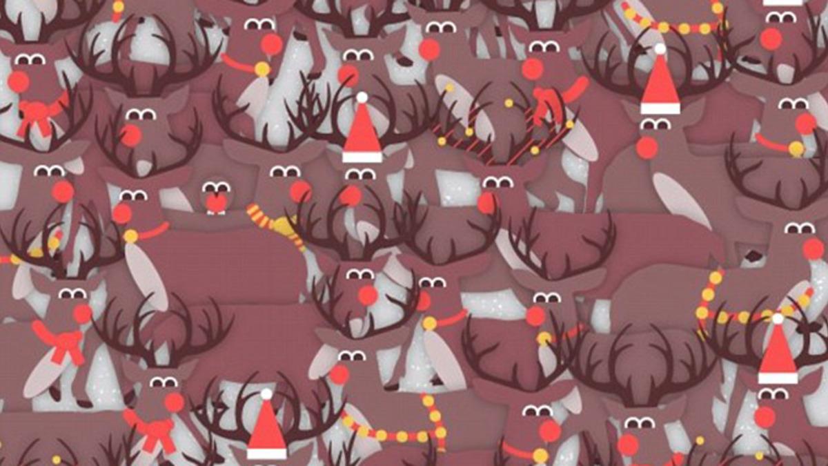 Görsel Zekanız,Gizli Resimleri Bulacak Kadar İyi Mi?