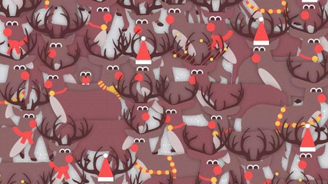 Görsel Zekanız,Gizli Resimleri Bulacak Kadar İyi Mi?