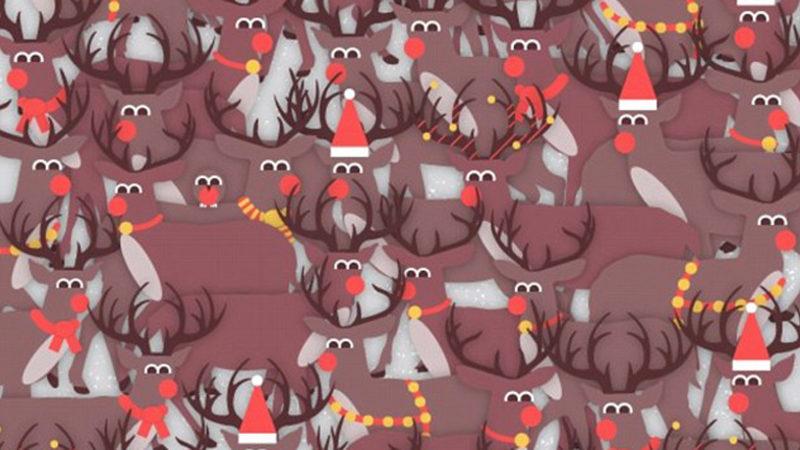 Görsel Zekanız,Gizli Resimleri Bulacak Kadar İyi Mi?