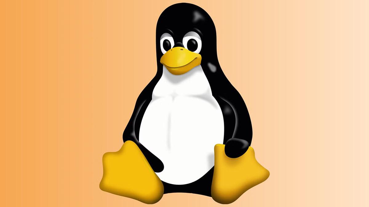 Güvenli Diye Yere Göğe Sığdırılamayan Linux’ta Çok Kritik Güvenlik Açıkları Tespit Edildi!