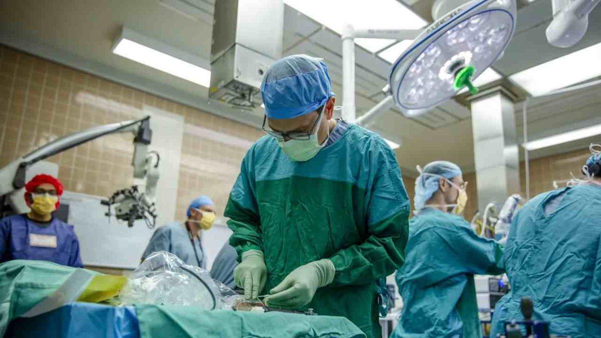 Neuralink’e Rakip Beyin Çipi Girişimi Paradromics, İlk Kez Bir İnsan Beynine Çip Yerleştirdiğini Açıkladı