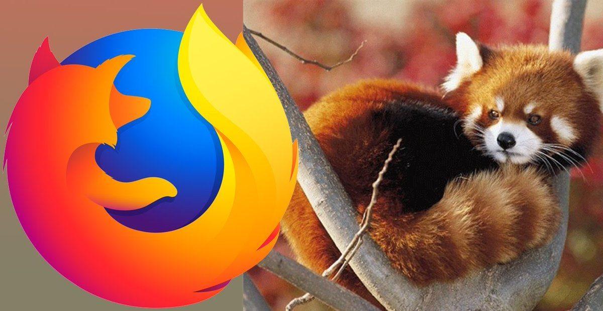 Firefox’un Logosundaki Hayvan Herkesin Sandığı Gibi Tilki Değil! İşte Firefox Logosunun Çok Şaşıracağınız Gerçek Yüzü