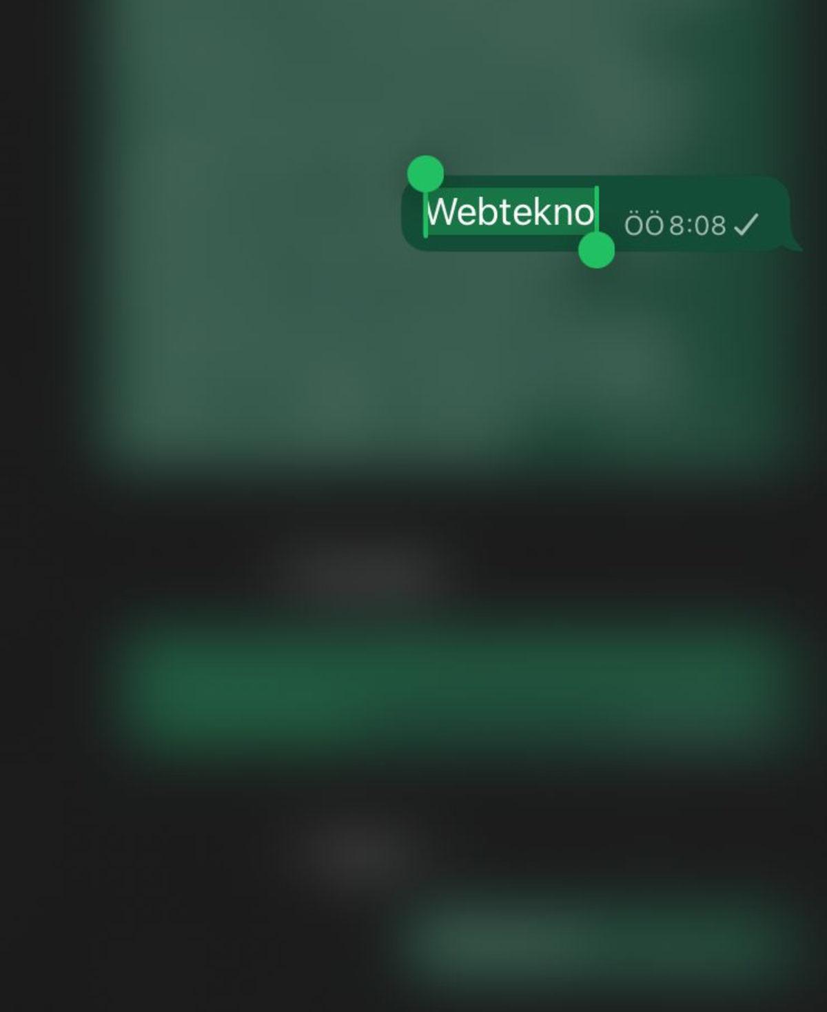 WhatsApp’ın iPhone Uygulamasına 