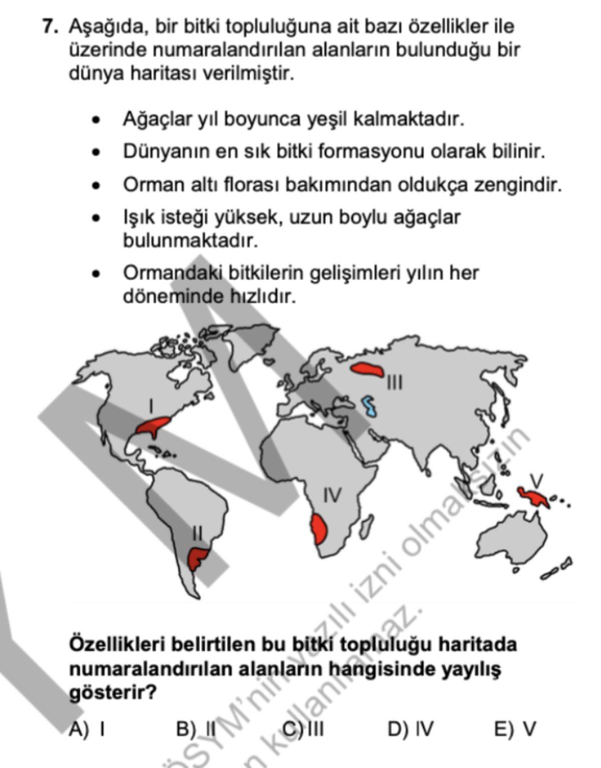 ChatGPT’yi Üniversite Sınavının İlk Ayağı TYT 2025’e Soktuk: İşte Sonuçlar!