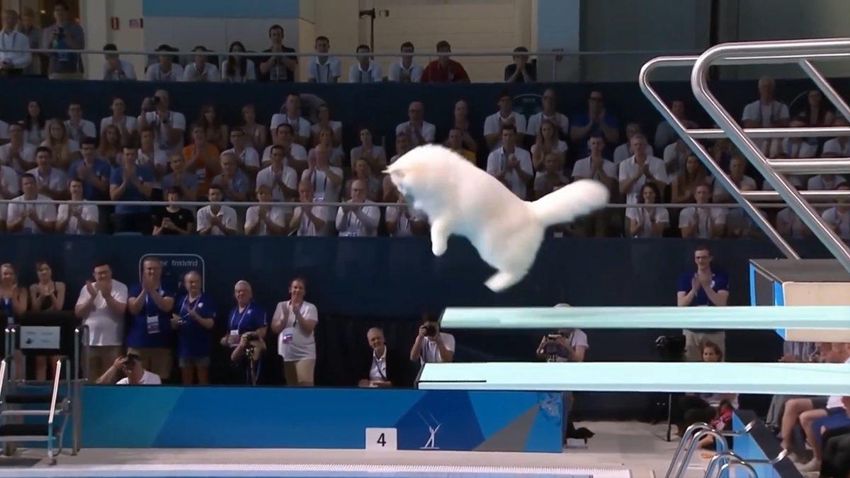 Google’ın Video Aracı Veo 3’ün En Büyük Rakibi Sosyal Medyayı Kasıp Kavuruyor: İşte Hailuo 02 ile Üretilen Videolar!