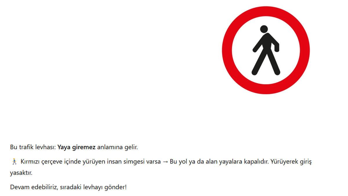 ChatGPT’yi Az Bilinen Trafik Levhaları Testine Soktuk: İşte Şoförlüğünüzü Sorgulatacak Cevaplar!