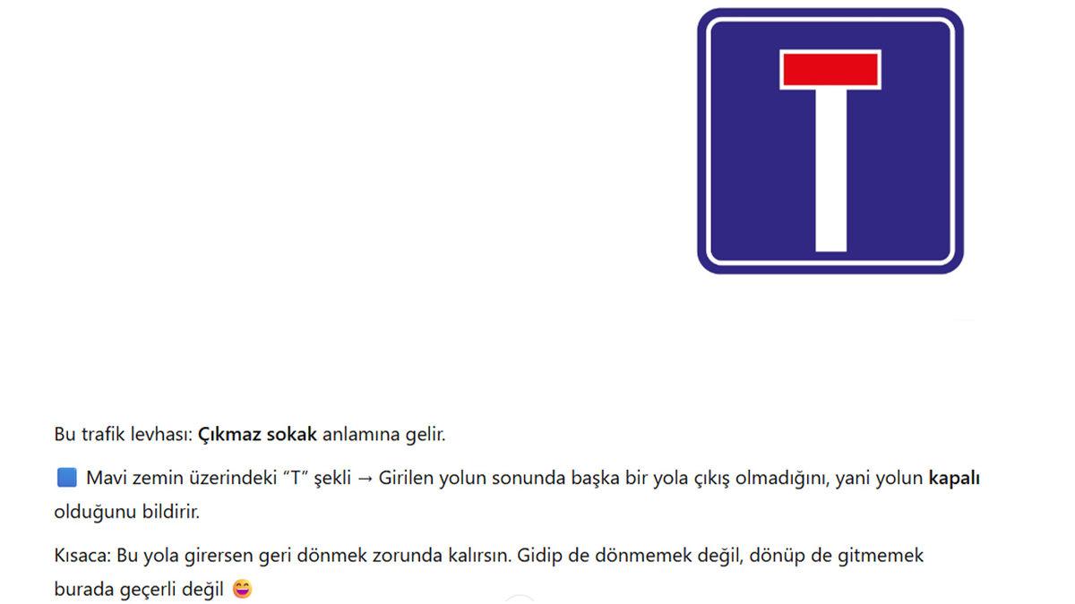 ChatGPT’yi Az Bilinen Trafik Levhaları Testine Soktuk: İşte Şoförlüğünüzü Sorgulatacak Cevaplar!