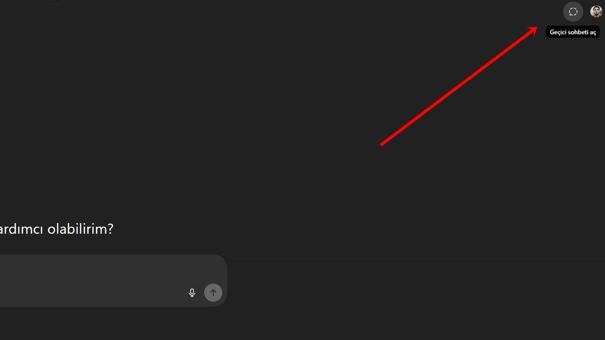 ChatGPT ile Konuşmalarınızın Kaydedilmemesi İçin Bu Ayarı Aktif Ettiğinizden Emin Olun