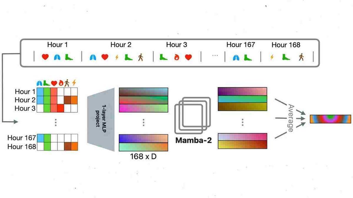 Apple Watch Verileriyle Eğitilen Yapay Zekâ, Hamileliği %92 Doğrulukla Tespit Edebildi