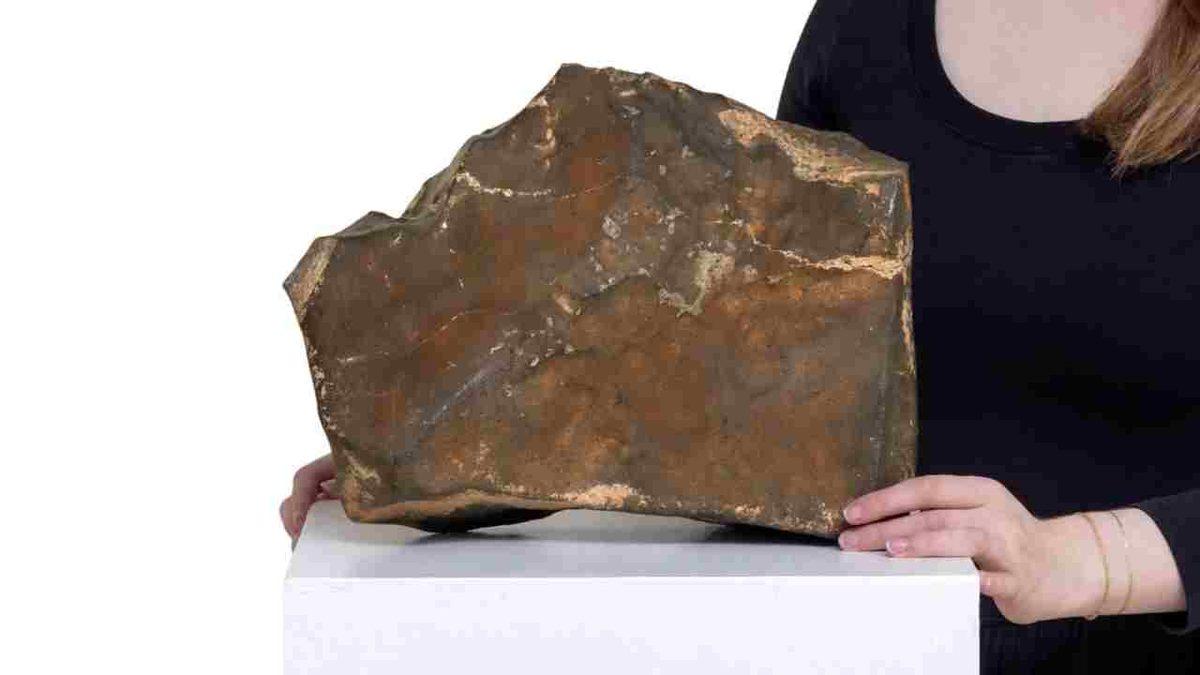 Mars’tan Dünya’ya Düşen En Büyük Gök Taşlarından Biri, Dudak Uçuklatan Fiyata Satıldı