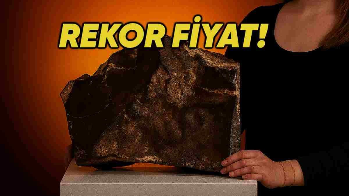 Mars’tan Dünya’ya Düşen En Büyük Gök Taşlarından Biri, Dudak Uçuklatan Fiyata Satıldı