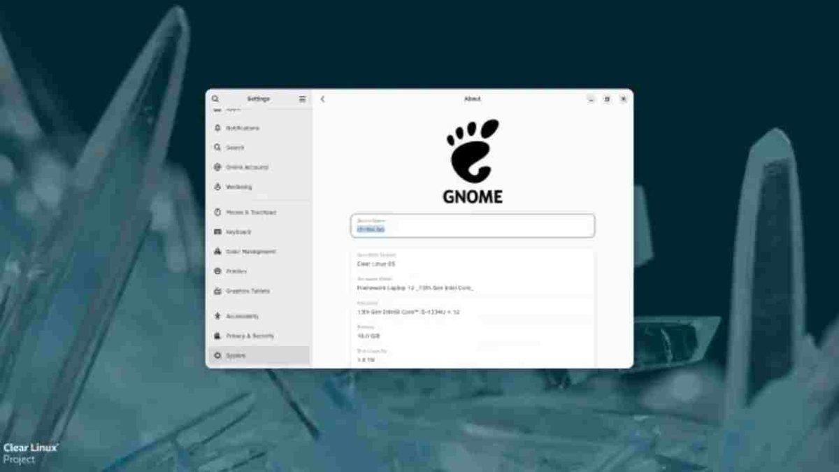 Intel, Clear Linux’un Fişini Resmen Çekti
