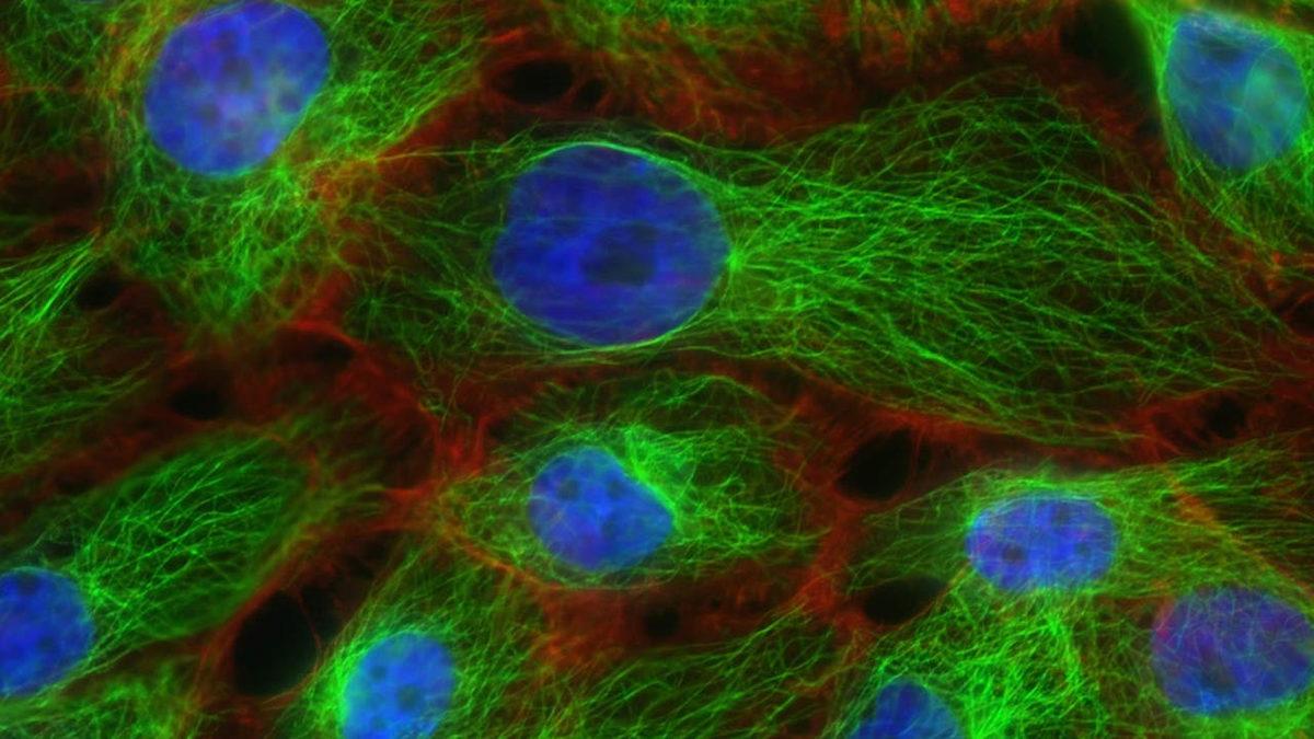 Tarihte İlk Kez Atomik Boyutta Görüntüleme Yapıldı: Bugüne Kadarki Tüm Sınırlar Aşıldı!