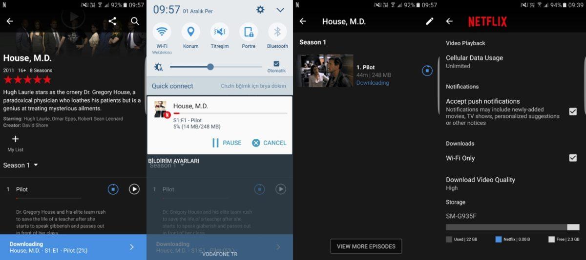 Netflix Dizilerini Telefona İndirme ve Çevrimdışı İzleme
