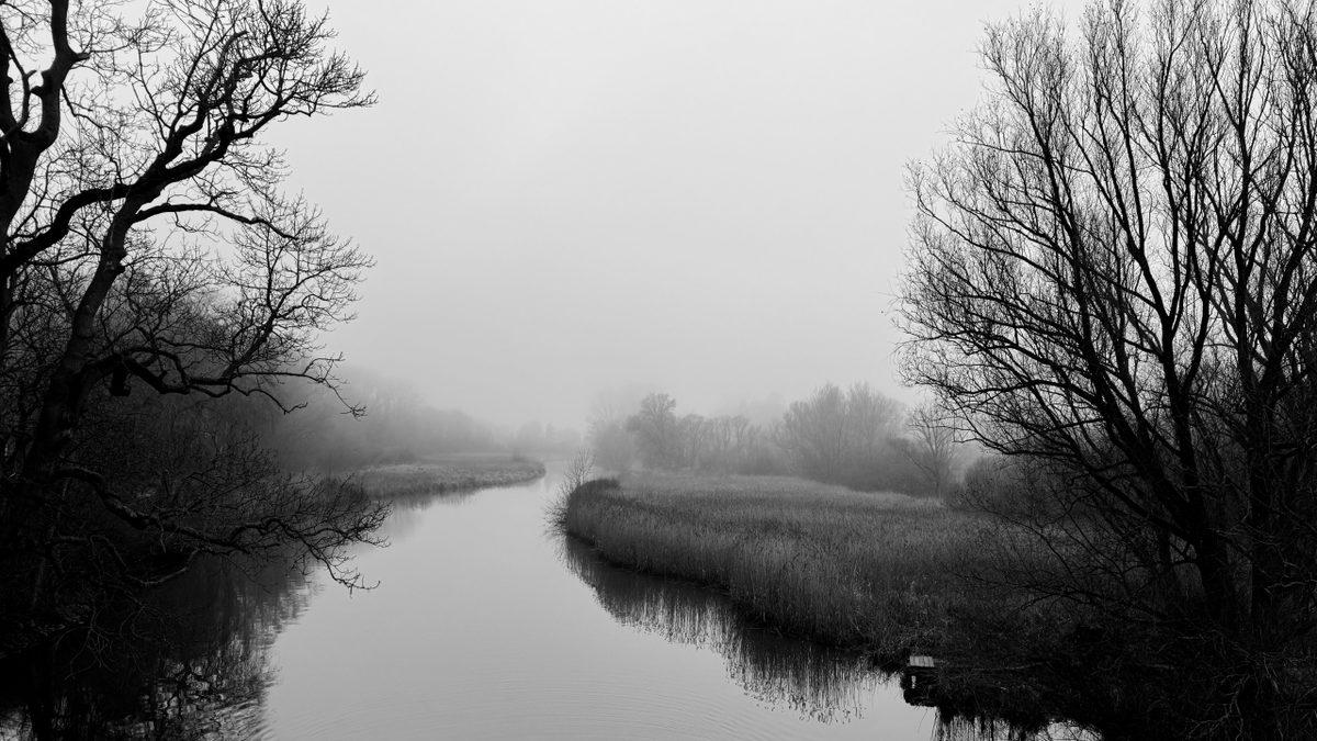 2025 iPhone Fotoğraf Ödülü Kazananları Belli Oldu: İşte Kazanan Fotoğraflar!