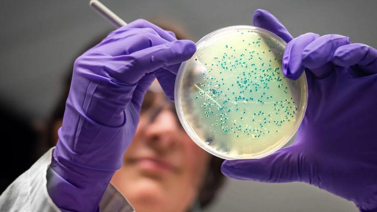 Yapay Zekâ Tıp Dünyasında Yeni Bir Çağ Başlatıyor: AI ile Bakterilere Karşı Antibiyotik Geliştirildi