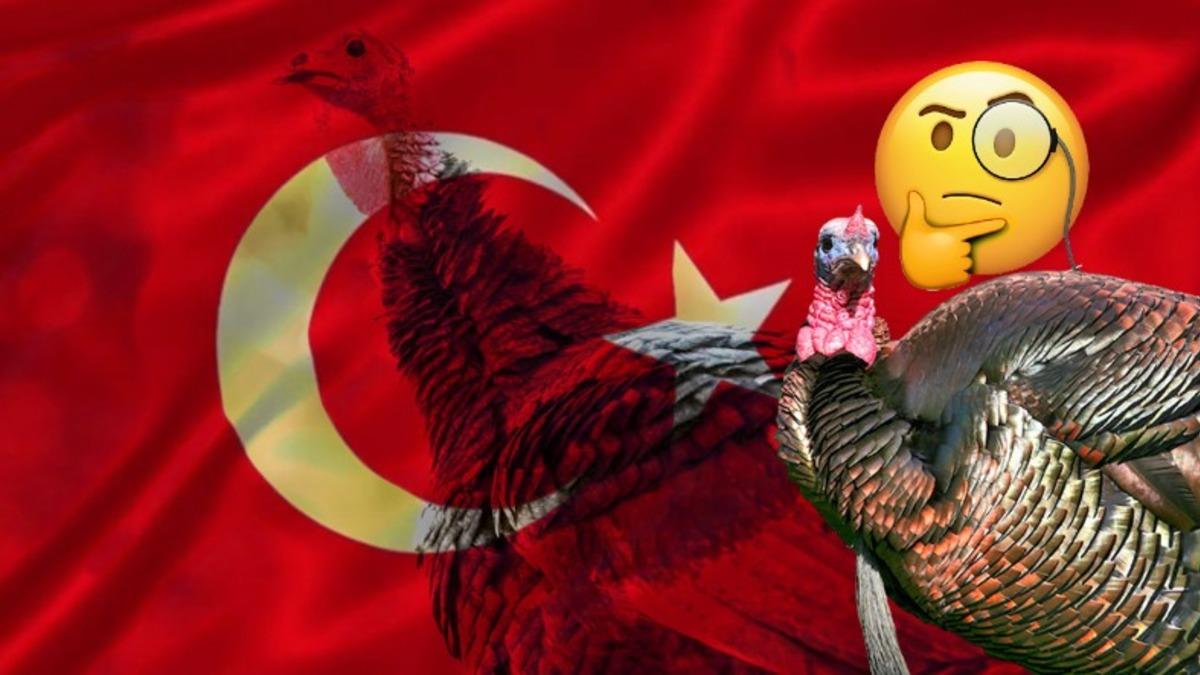 İngilizcede Hindiye "Turkey" Denmesinin Ardında Yatan İlginç Gerçek