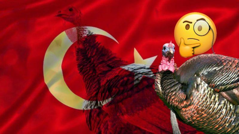 İngilizcede Hindiye "Turkey" Denmesinin Ardında Yatan İlginç Gerçek