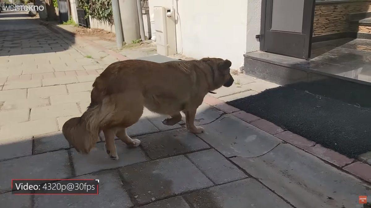 Amiral Gemisi Katili: Xiaomi'nin En Çok Satan Efsanesi Yeni Mi 10 Pro Detaylı İncelemesi