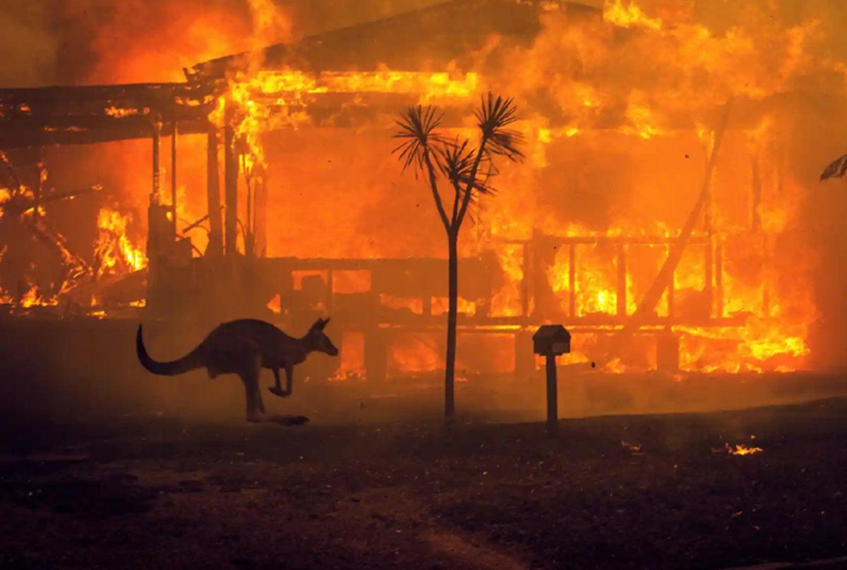 Cehennem Fragmanı Gibi: 2020'de Başımıza Gelen 6 Felaket