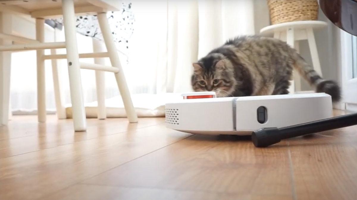 Kendi Kendine Bütün Evi Temizleyebilen Xiaomi Mi Robot Vacuum'u İnceledik