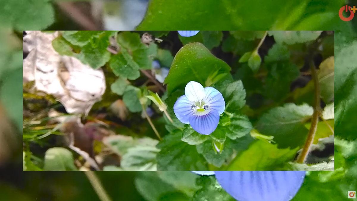 Bu Telefon Sınıfta mı Kaldı? Vivo Y70 inceleme